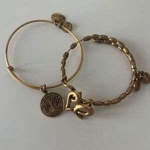 Alex and Ani Gold Bracelets
